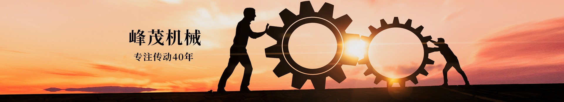 東莞市峰茂機械設備有限公司，專注齒條齒輪傳動40年